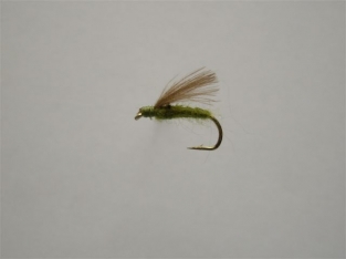Size 16 F-Fly Olive CDC